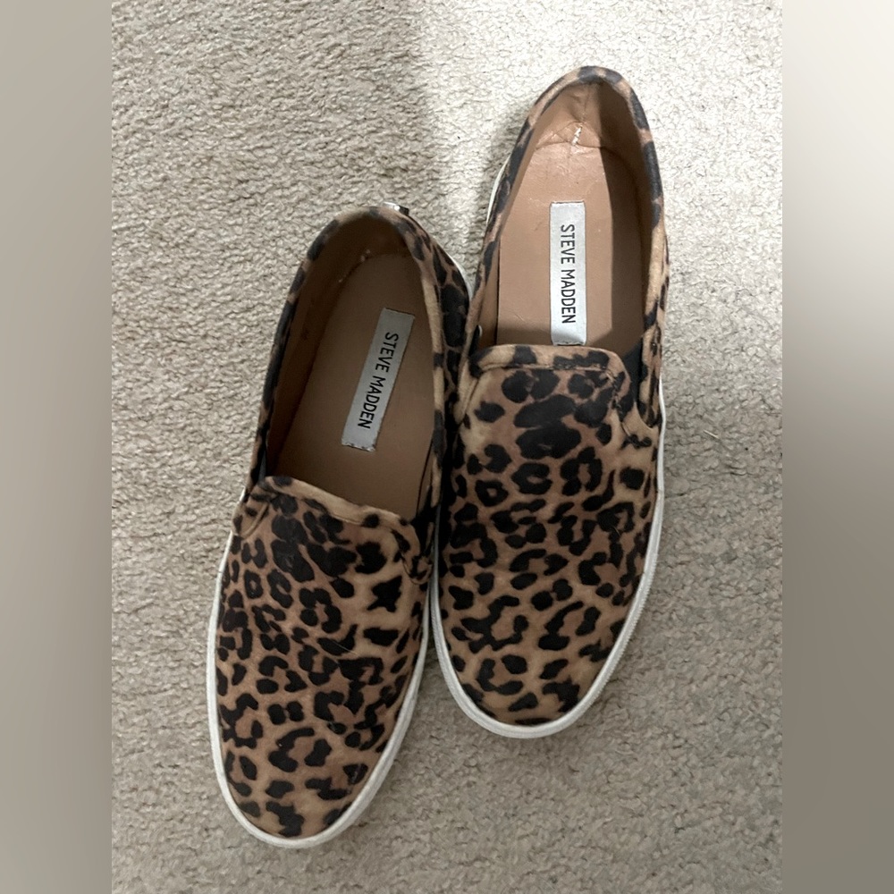 Steve Madden Sneakers